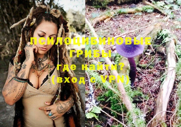 бошки Алзамай