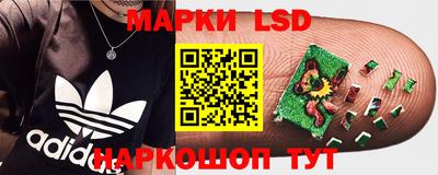 apvp Краснокаменск