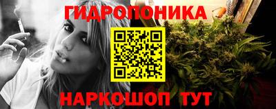 прущие крисы Краснознаменск